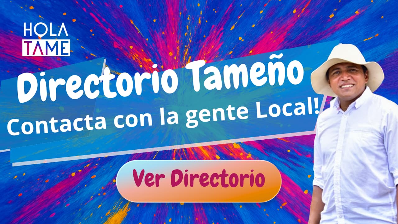 numeros de tame negocios y personas